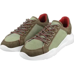 Shop Herren Sneaker Oben, Grün- Herren Schuhe